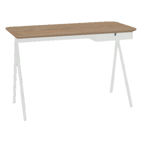 SCANMOD DESK